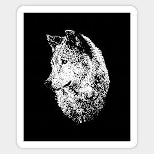 Wolf portrait Magnet